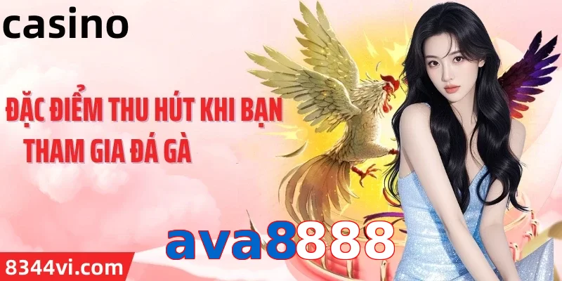 ava8888